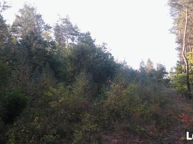 Grunt na sprzedaż w Nagłowice, Świętokrzyskie