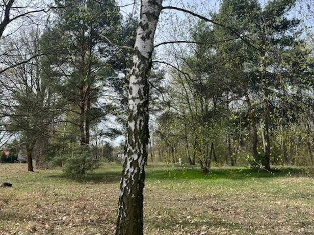 Grunt na sprzedaż w Milanówek, Mazowieckie