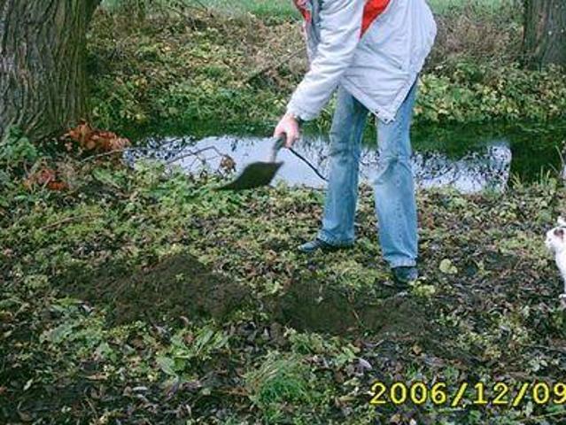 Grunt na sprzedaż w Świecie, Kujawsko-pomorskie
