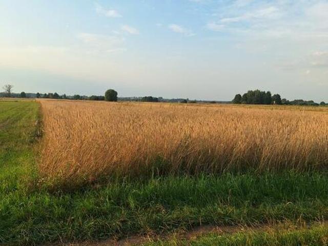 Grunt na sprzedaż w Baranów, Lubelskie