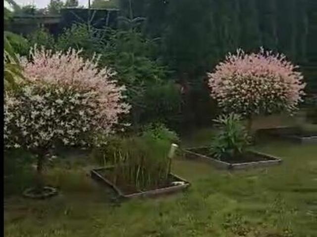 Grunt na sprzedaż w Włocławek, Kujawsko-pomorskie
