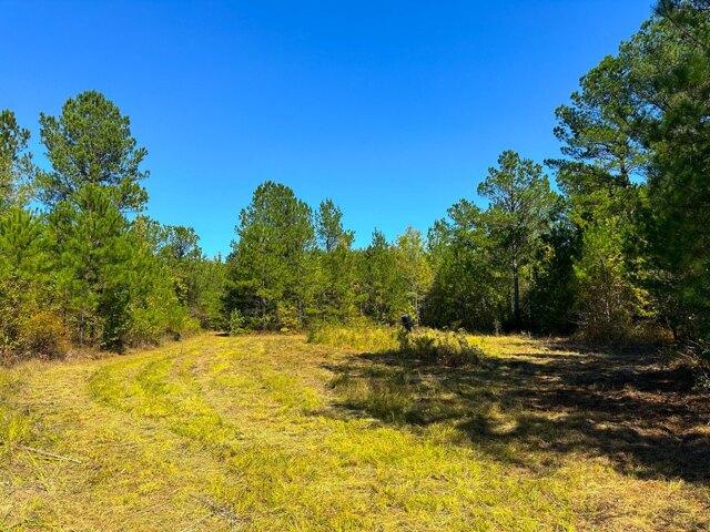 Land for sale in Columbus