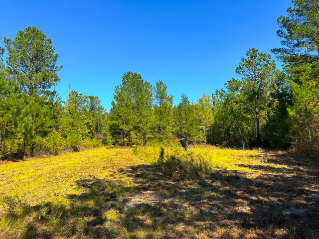 Land for sale in Columbus