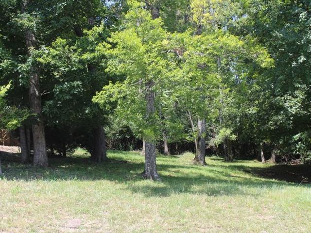 Land for sale in Tennessee