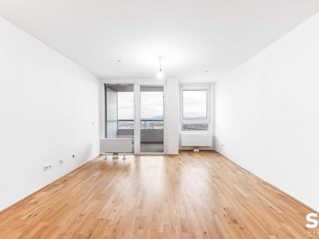 Apartment kaufen in KG Oberlaa Stadt, Wien