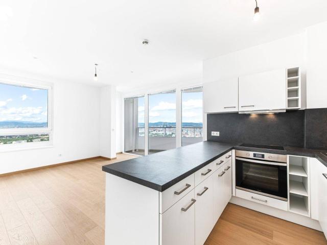 Apartment kaufen in KG Oberlaa Stadt, Wien