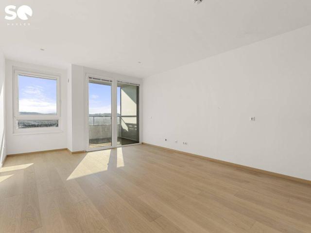 Apartment kaufen in KG Oberlaa Stadt, Wien