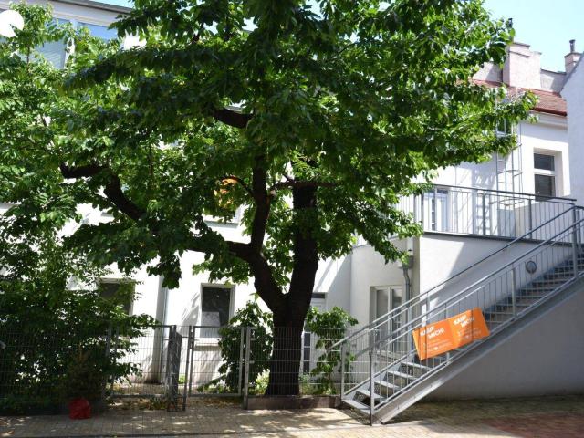 Apartment kaufen in Ottakring, Wien