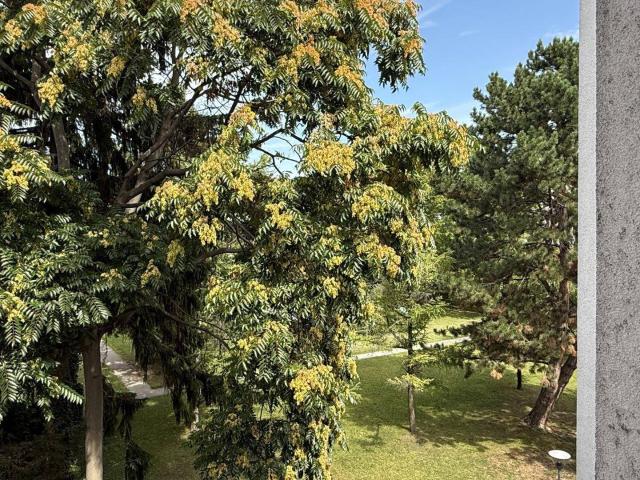 Apartment kaufen in Floridsdorf, Wien