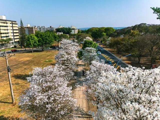Apartamento venda em Região Geográfica Imediata do Distrito Federal, Região Integrada de Desenvolvimento do Distrito Federal e Entorno