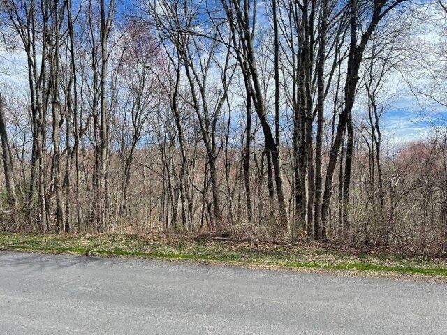 Land for sale in New York