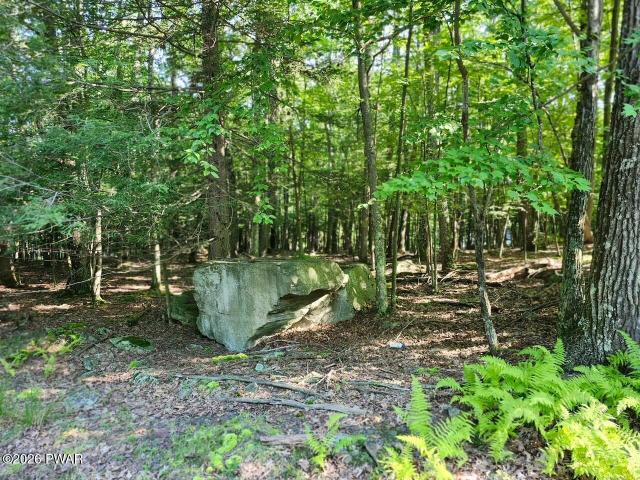Land for sale in Greentown, Pennsylvania