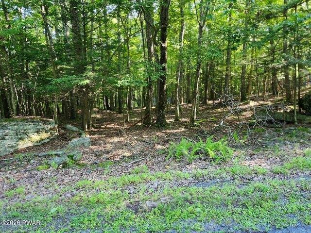 Land for sale in Greentown, Pennsylvania