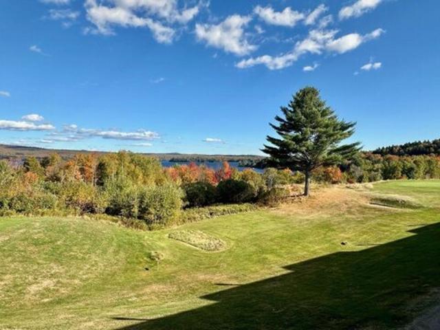 Condo for sale in Harfords Point Township, Piscataquis County