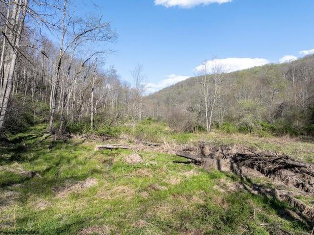 Farm for sale in Reedsville, West Virginia