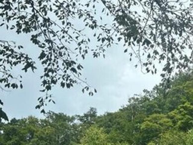 Land for sale in Virginia