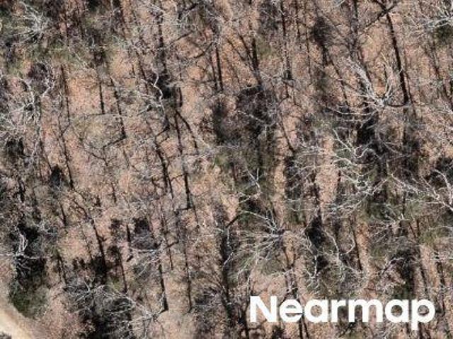 Land for sale in Hillsboro