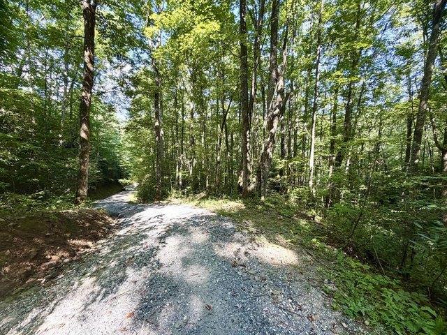 Land for sale in Graham, North Carolina
