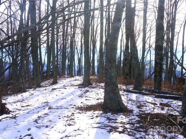 Land for sale in Yancey, North Carolina