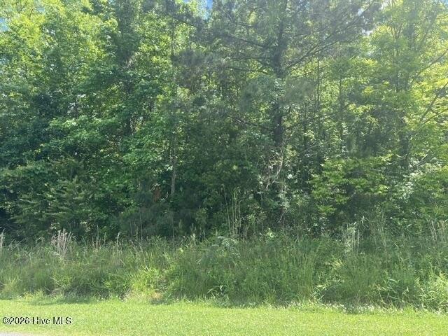 Land for sale in Aurora, North Carolina