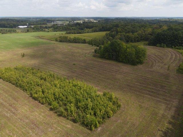 Land for sale in West Harrison, Indiana