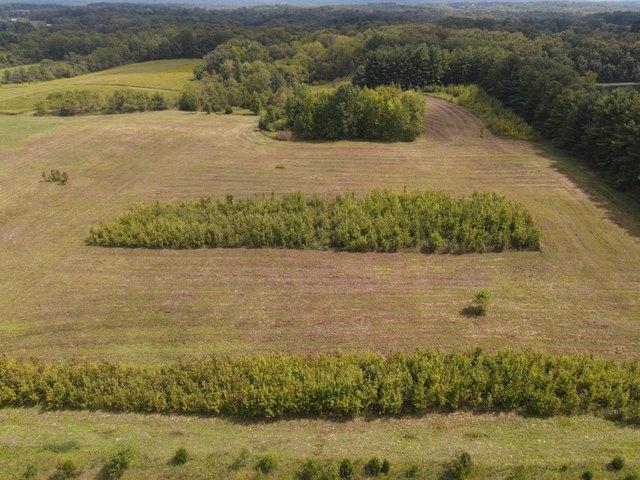 Land for sale in West Harrison, Indiana