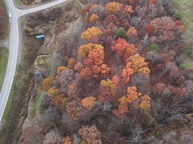 Land for sale in Noble, Ohio