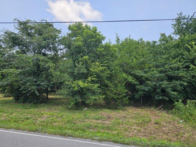 Land for sale in Tracy City, Middle Tennessee