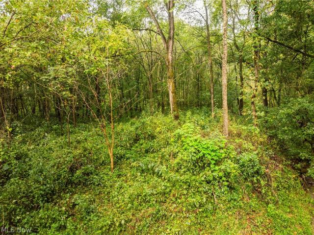 Land for sale in Dresden, Ohio