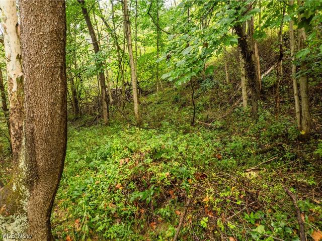 Land for sale in Dresden, Ohio