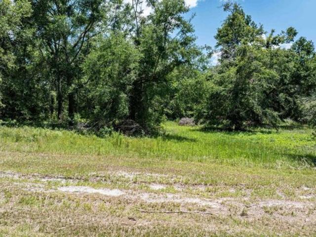 Land for sale in Live Oak