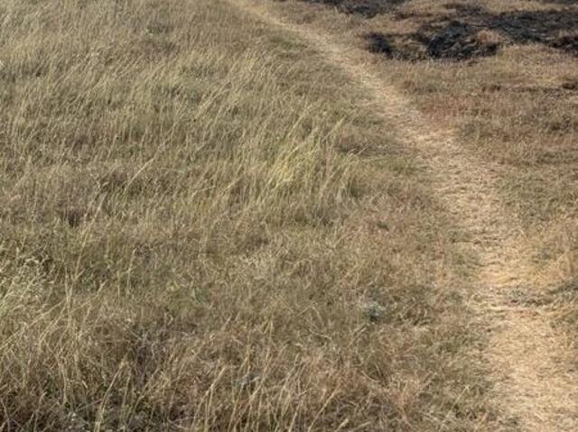 Land for sale in Guntur, Andhra Pradesh