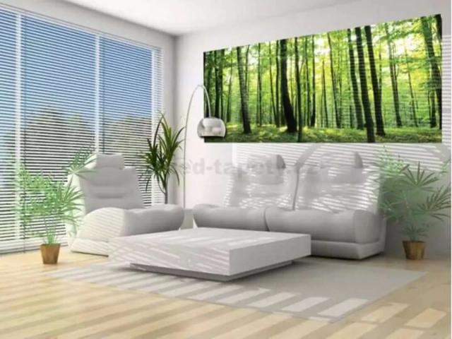 Land for sale in Islamabad