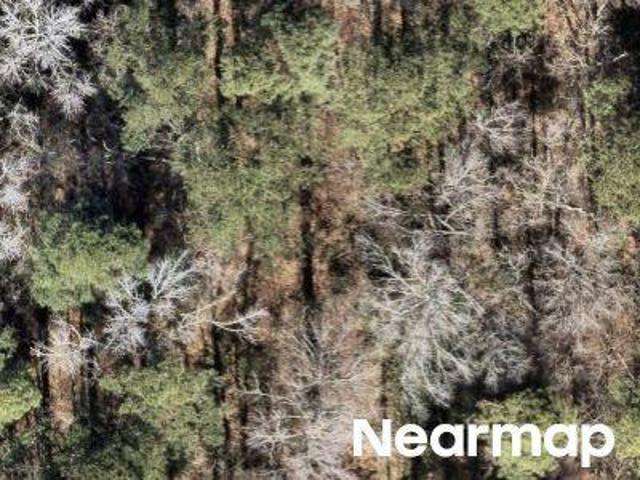 Land for sale in Virginia