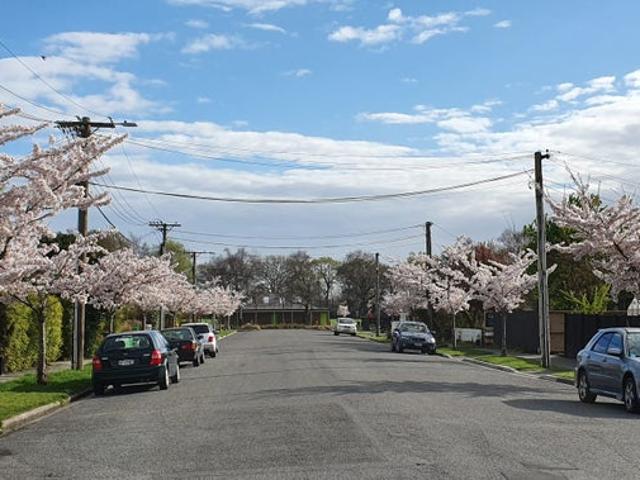 Apartment for rent in Merivale, Canterbury