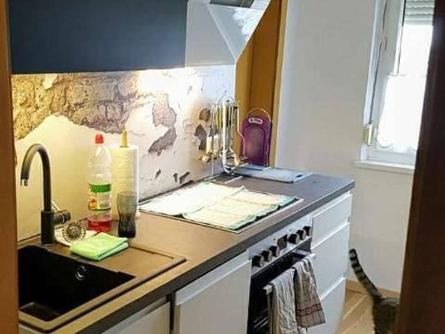 Wohnung mieten in Niederösterreich