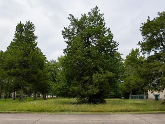 Land for sale in New Ulm, Austin County