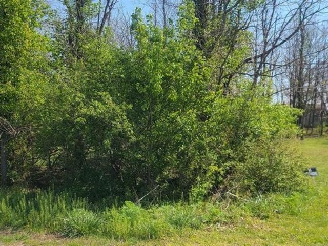 Land for sale in Waverly, Ohio