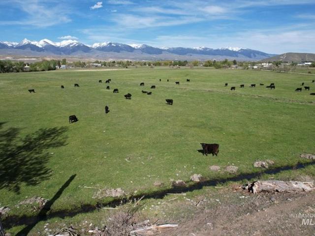 Land for sale in Lemhi, Idaho
