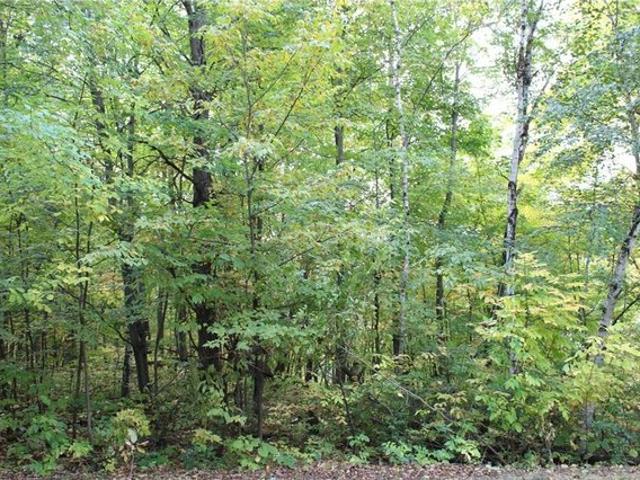 Land for sale in Taylors Falls, Minnesota