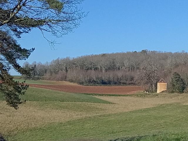 Terrain vente à Saint-cyprien
