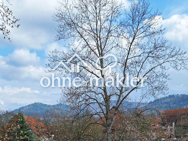 Apartment kaufen in Freiburg, Baden-Württemberg