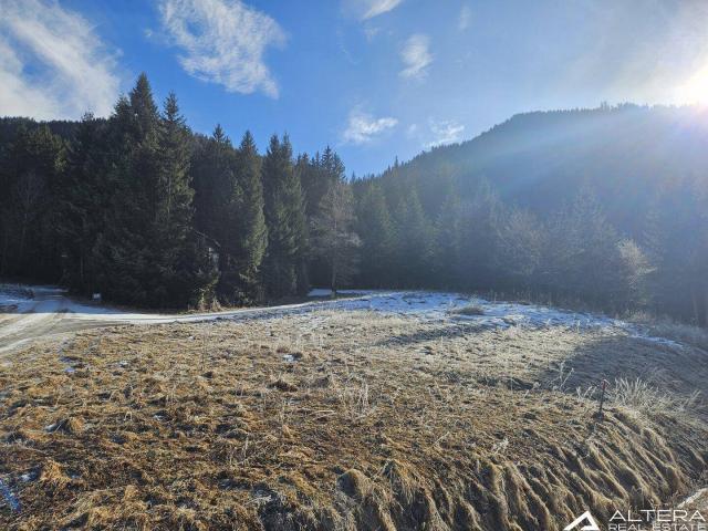 Immobilie kaufen in St. Georgen ob Murau, Steiermark