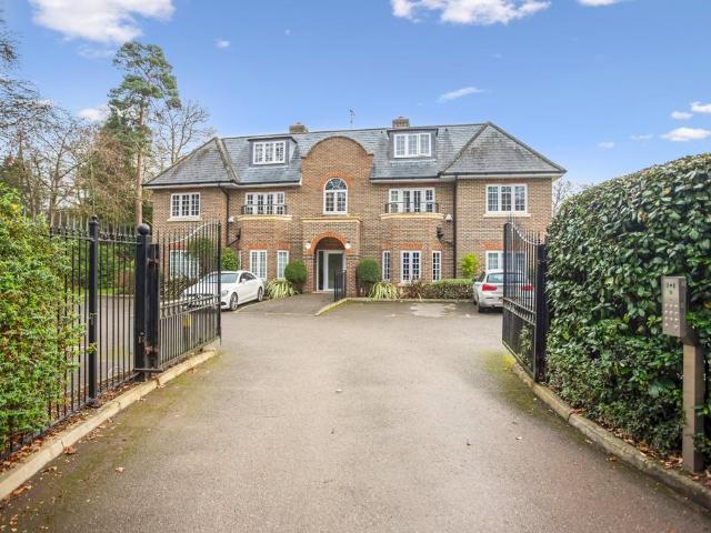 Apartment for rent in Sunninghill and Ascot, Ascot