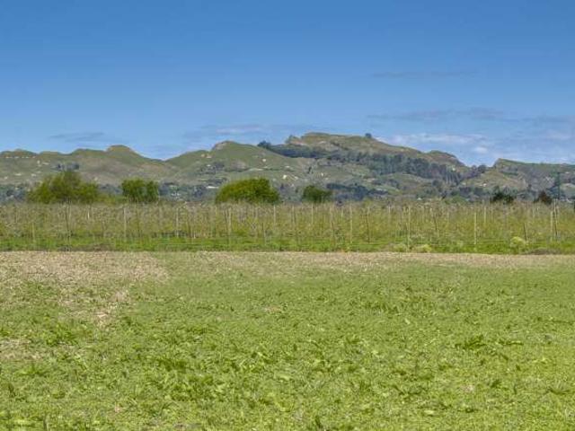 Property for sale in Havelock North, Hastings District