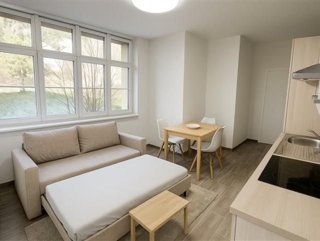 Wohnung mieten in St-Imier, Bern
