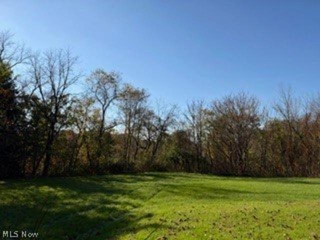 Land for sale in Lisbon, Columbiana County