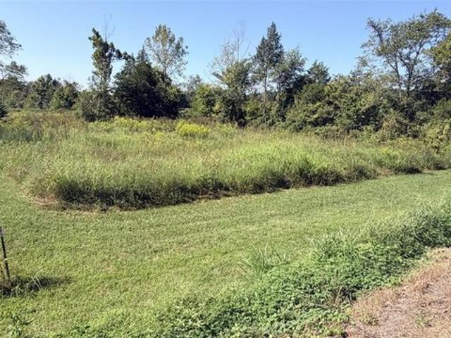 Land for sale in Rineyville, Kentucky