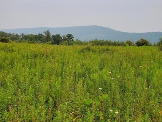 Land for sale in Drums, Pennsylvania