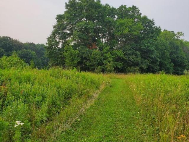 House for sale in Saint Johns, Butler Township
